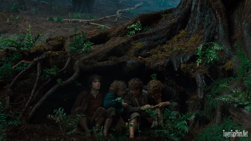 Frodo và những người bạn trên hành trình đi tiêu diệt chiếc nhẫn